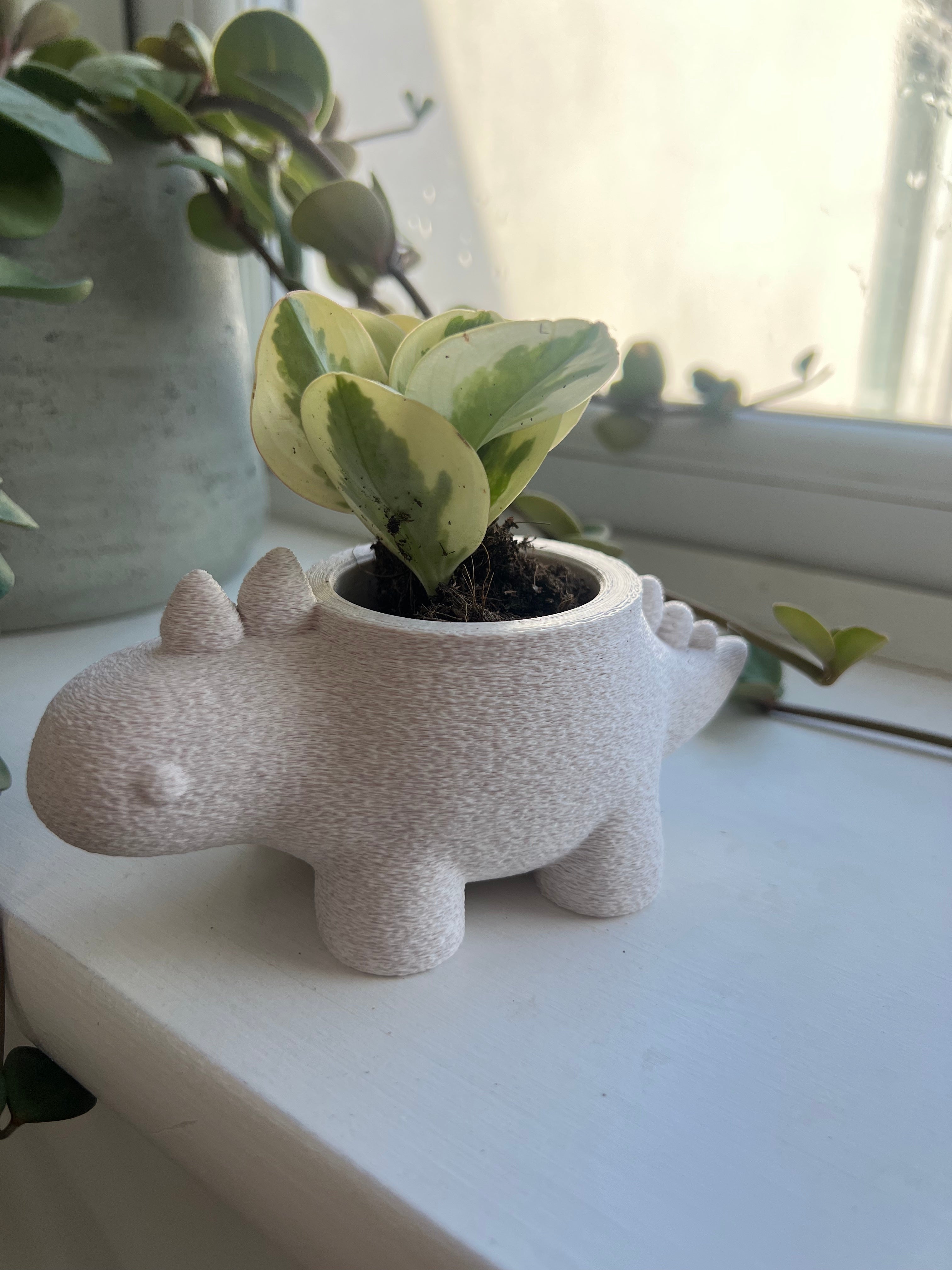 Stegasaurus Planter